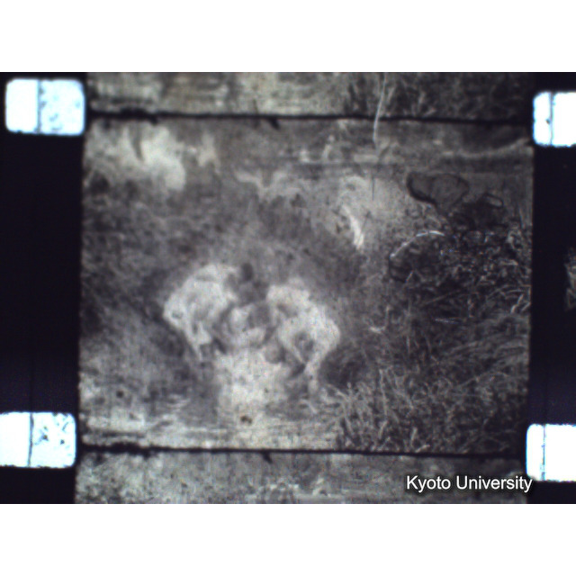 [ 1-1] 矢代日吉神社田楽（第一回）. [静止画像群2, 20～128枚目.] (58)