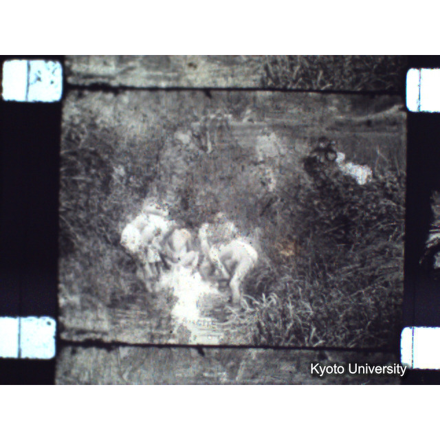 [ 1-1] 矢代日吉神社田楽（第一回）. [静止画像群2, 20～128枚目.] (59)