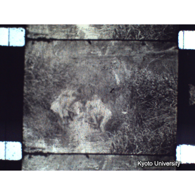 [ 1-1] 矢代日吉神社田楽（第一回）. [静止画像群2, 20～128枚目.] (60)