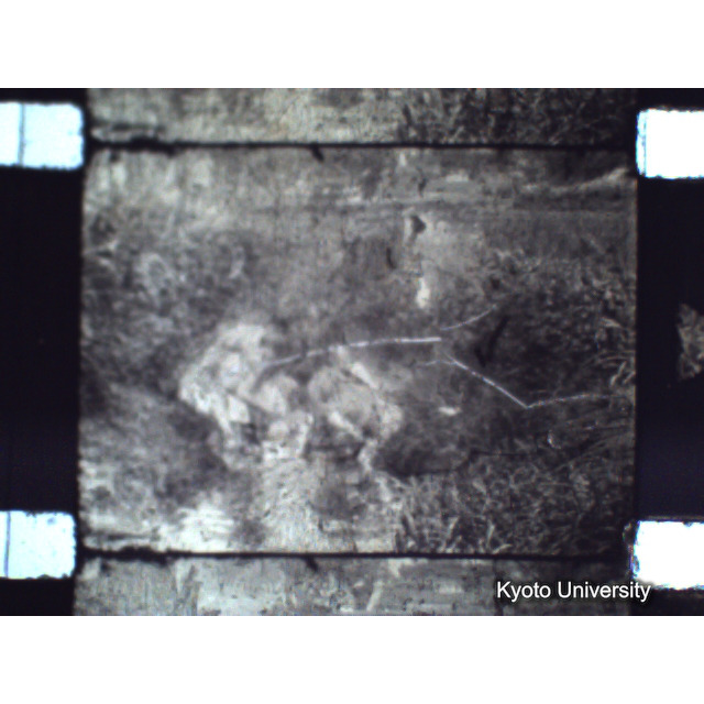 [ 1-1] 矢代日吉神社田楽（第一回）. [静止画像群2, 20～128枚目.] (62)