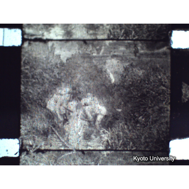 [ 1-1] 矢代日吉神社田楽（第一回）. [静止画像群2, 20～128枚目.] (63)