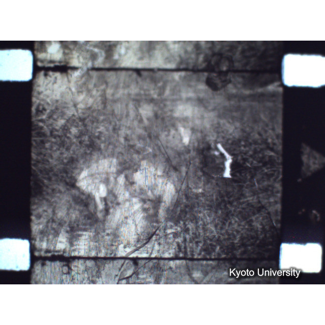 [ 1-1] 矢代日吉神社田楽（第一回）. [静止画像群2, 20～128枚目.] (69)