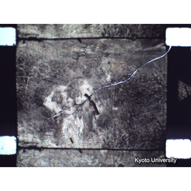 [ 1-1] 矢代日吉神社田楽（第一回）. [静止画像群2, 20～128枚目.] (73)