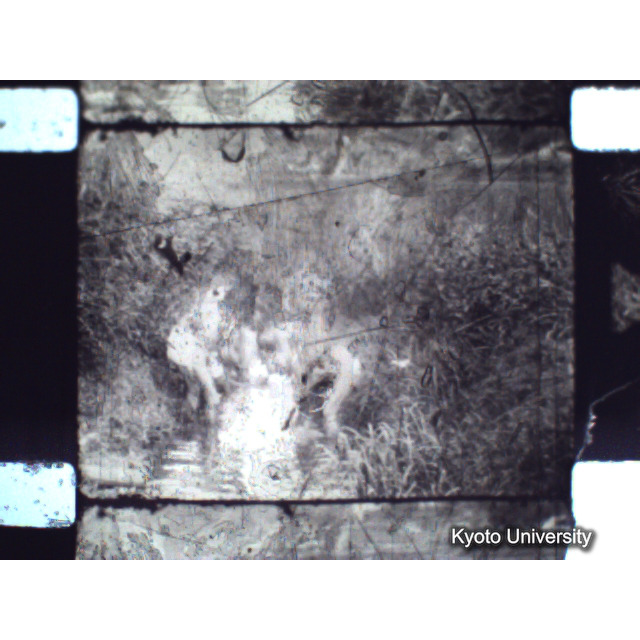 [ 1-1] 矢代日吉神社田楽（第一回）. [静止画像群2, 20～128枚目.] (77)