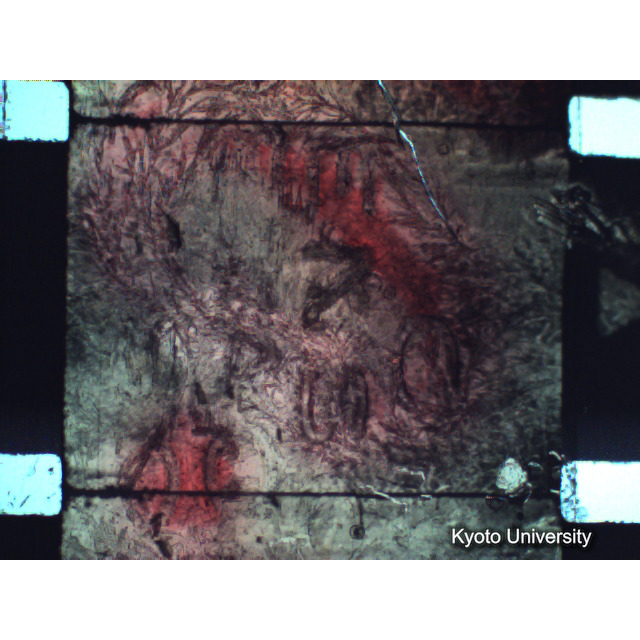 [ 1-1] 矢代日吉神社田楽（第一回）. [静止画像群2, 20～128枚目.] (85)