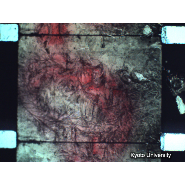 [ 1-1] 矢代日吉神社田楽（第一回）. [静止画像群2, 20～128枚目.] (87)