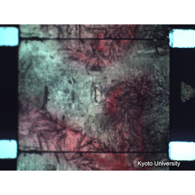 [ 1-1] 矢代日吉神社田楽（第一回）. [静止画像群2, 20～128枚目.] (88)