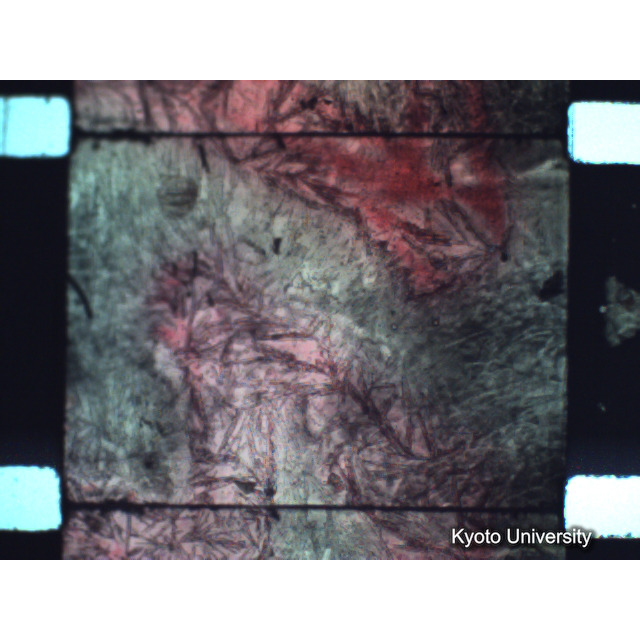 [ 1-1] 矢代日吉神社田楽（第一回）. [静止画像群2, 20～128枚目.] (89)