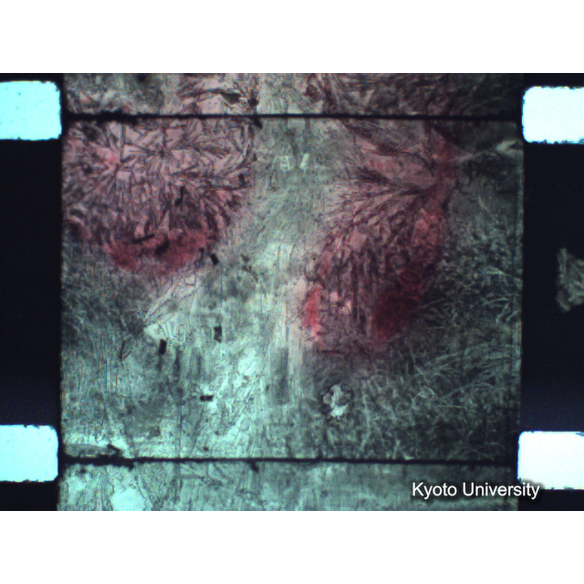 [ 1-1] 矢代日吉神社田楽（第一回）. [静止画像群2, 20～128枚目.] (90)