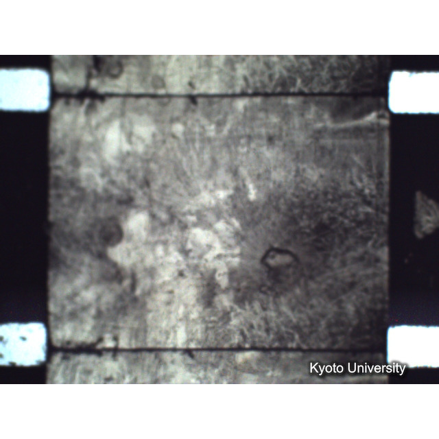 [ 1-1] 矢代日吉神社田楽（第一回）. [静止画像群2, 20～128枚目.] (92)