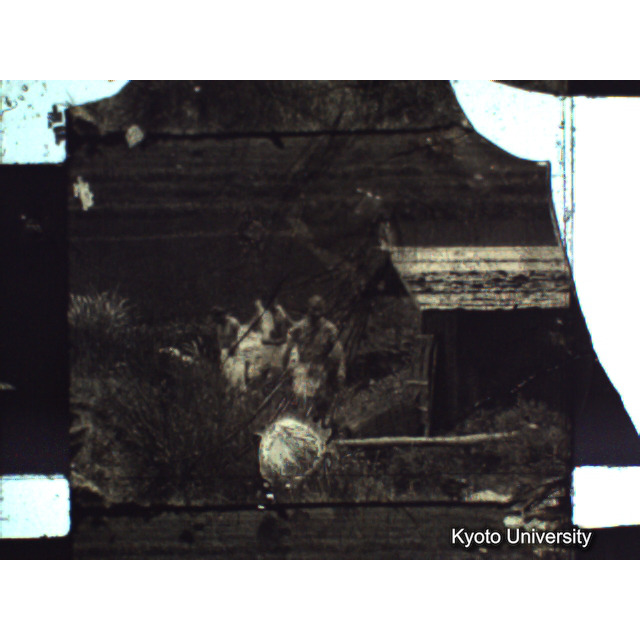 [ 1-1] 矢代日吉神社田楽（第一回）. [静止画像群3, 129～218枚目.] (1)