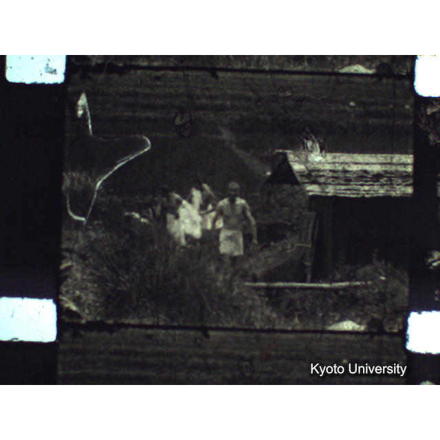 [ 1-1] 矢代日吉神社田楽（第一回）. [静止画像群3, 129～218枚目.] (4)