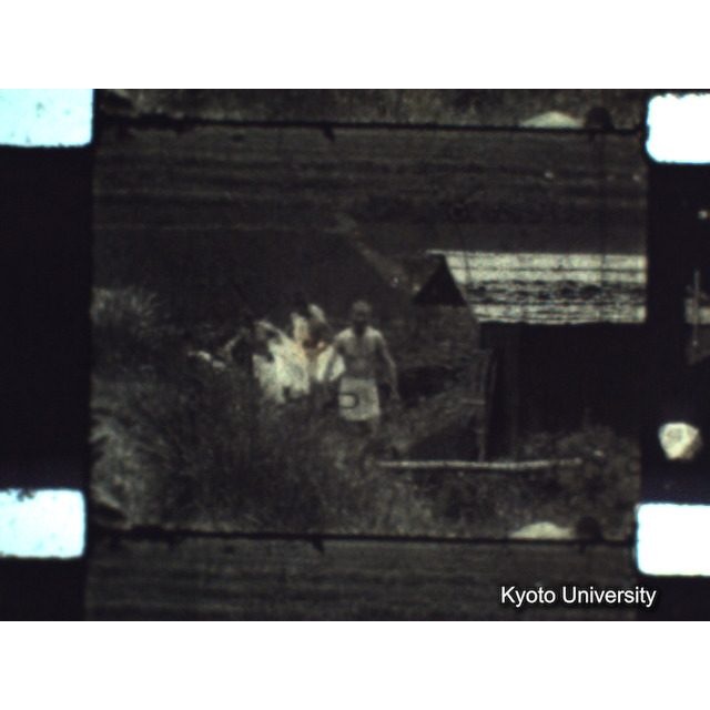 [ 1-1] 矢代日吉神社田楽（第一回）. [静止画像群3, 129～218枚目.] (5)