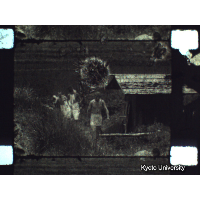 [ 1-1] 矢代日吉神社田楽（第一回）. [静止画像群3, 129～218枚目.] (21)