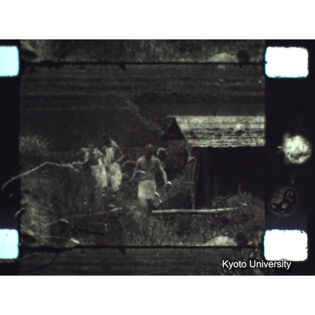 [ 1-1] 矢代日吉神社田楽（第一回）. [静止画像群3, 129～218枚目.] (22)