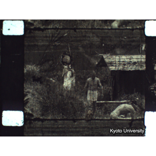 [ 1-1] 矢代日吉神社田楽（第一回）. [静止画像群3, 129～218枚目.] (42)