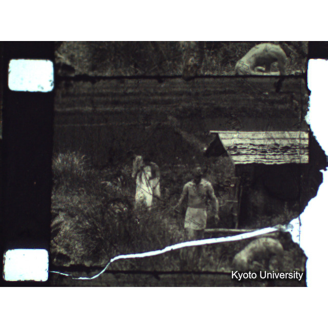 [ 1-1] 矢代日吉神社田楽（第一回）. [静止画像群3, 129～218枚目.] (43)