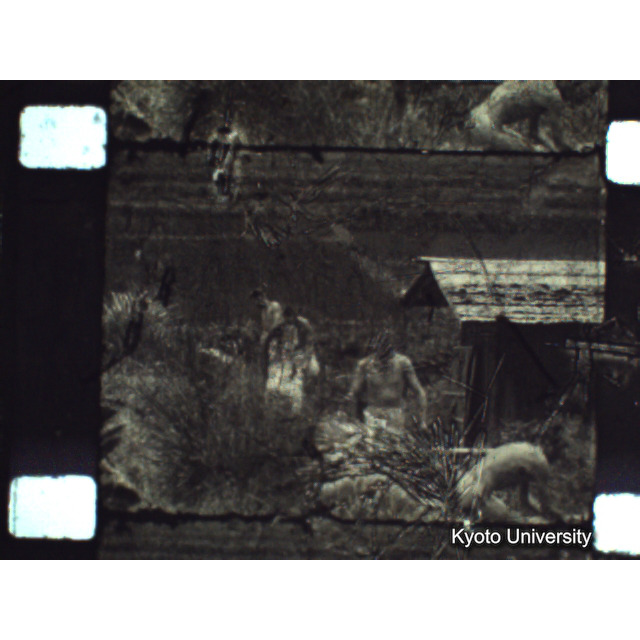 [ 1-1] 矢代日吉神社田楽（第一回）. [静止画像群3, 129～218枚目.] (45)