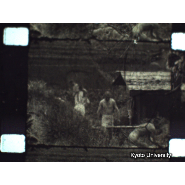 [ 1-1] 矢代日吉神社田楽（第一回）. [静止画像群3, 129～218枚目.] (48)