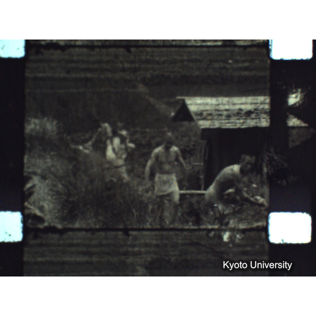 [ 1-1] 矢代日吉神社田楽（第一回）. [静止画像群3, 129～218枚目.] (52)