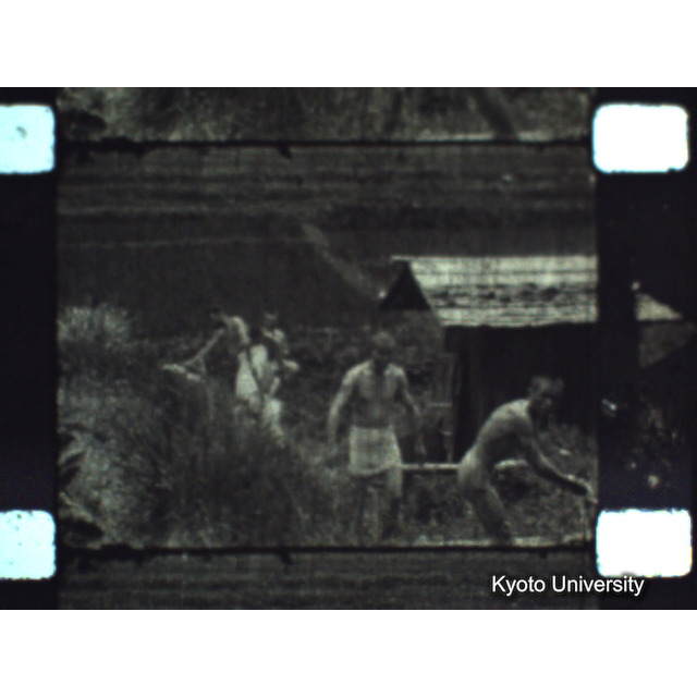 [ 1-1] 矢代日吉神社田楽（第一回）. [静止画像群3, 129～218枚目.] (54)