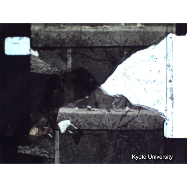 [ 1-1] 矢代日吉神社田楽（第一回）. [静止画像群4, 219～570枚目.] (11)