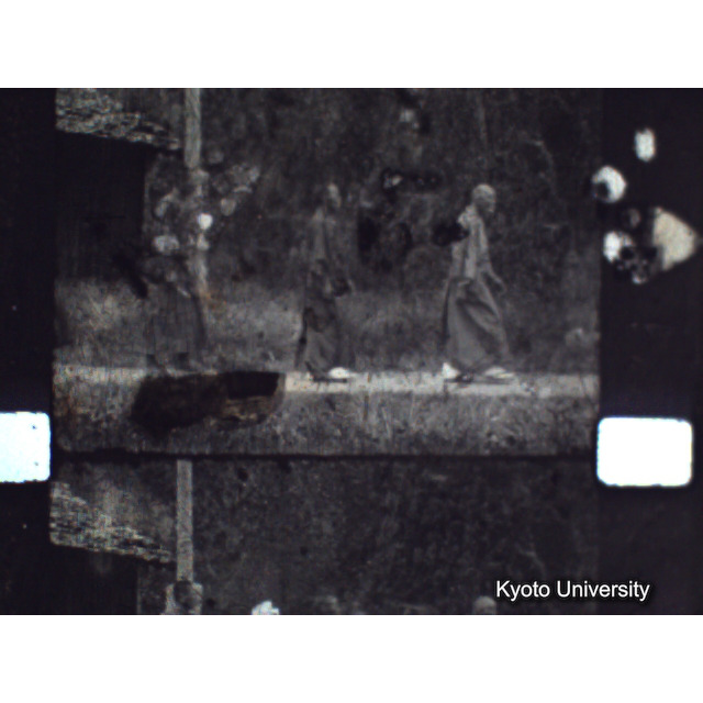 [ 1-1] 矢代日吉神社田楽（第一回）. [静止画像群4, 219～570枚目.] (15)