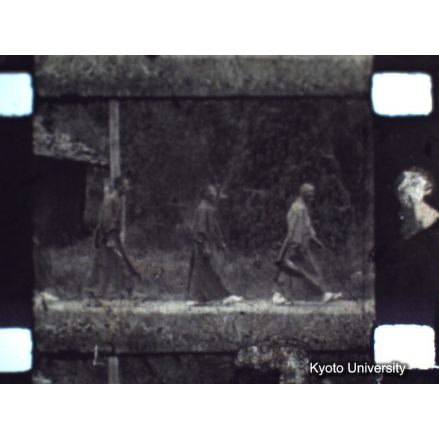 [ 1-1] 矢代日吉神社田楽（第一回）. [静止画像群4, 219～570枚目.] (16)