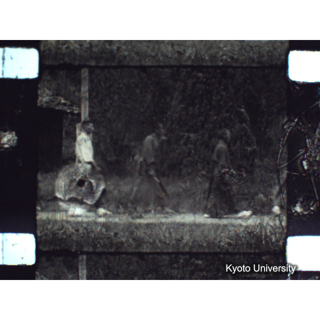 [ 1-1] 矢代日吉神社田楽（第一回）. [静止画像群4, 219～570枚目.] (38)