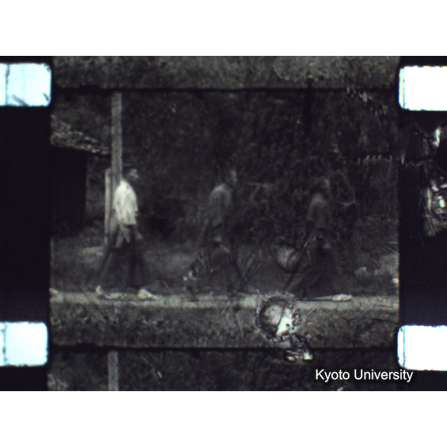 [ 1-1] 矢代日吉神社田楽（第一回）. [静止画像群4, 219～570枚目.] (40)