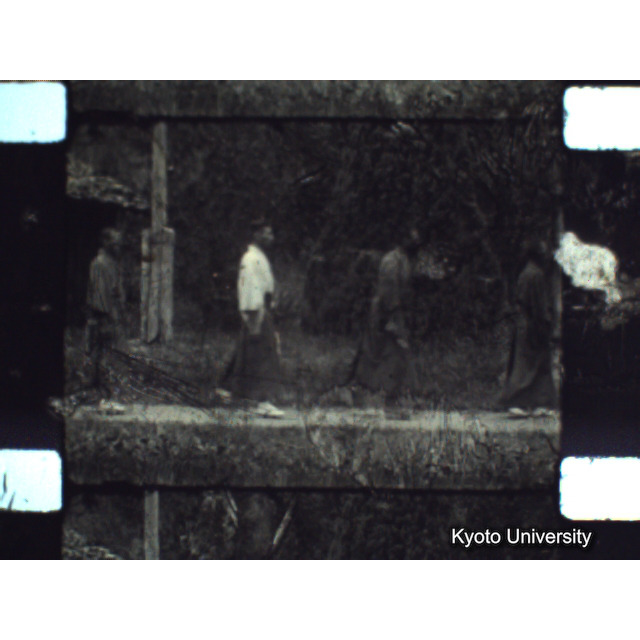 [ 1-1] 矢代日吉神社田楽（第一回）. [静止画像群4, 219～570枚目.] (54)