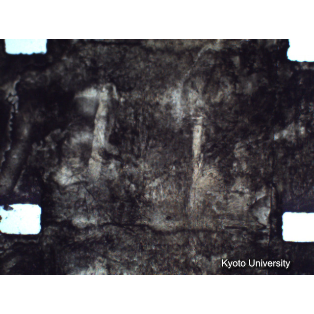 [ 1-1] 矢代日吉神社田楽（第一回）. [静止画像群4, 219～570枚目.] (201)