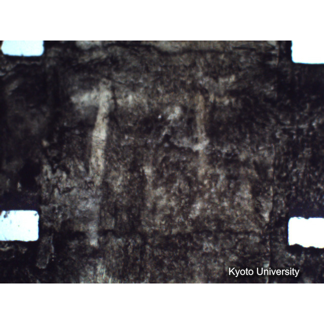 [ 1-1] 矢代日吉神社田楽（第一回）. [静止画像群4, 219～570枚目.] (202)