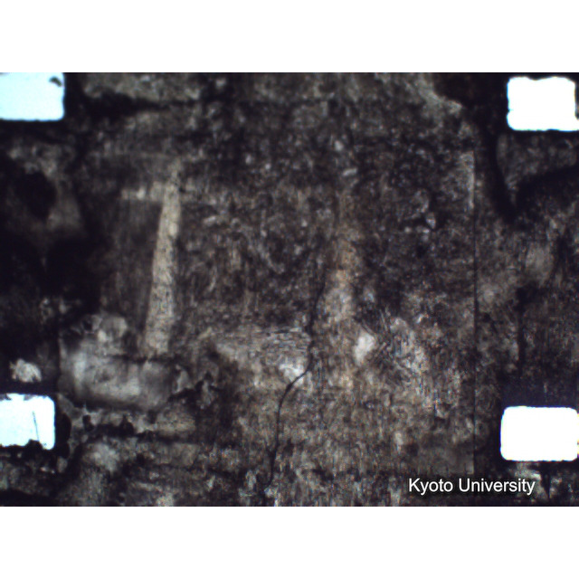 [ 1-1] 矢代日吉神社田楽（第一回）. [静止画像群4, 219～570枚目.] (205)