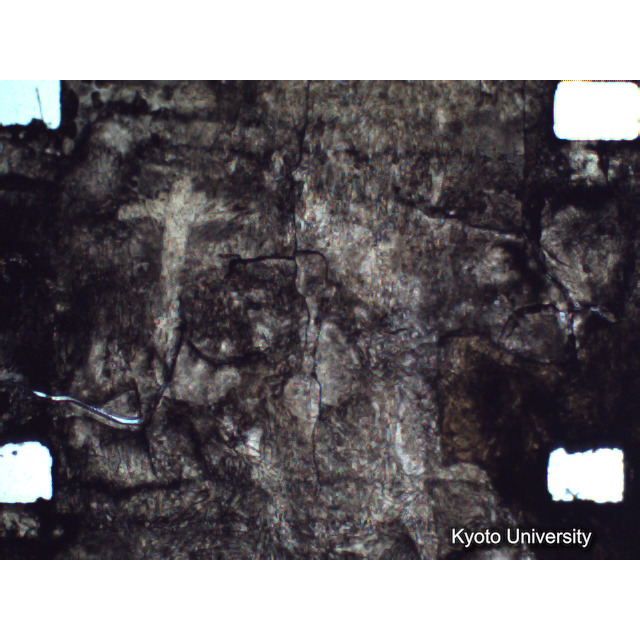 [ 1-1] 矢代日吉神社田楽（第一回）. [静止画像群4, 219～570枚目.] (206)