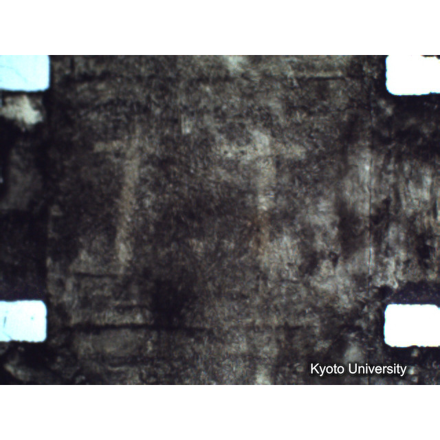 [ 1-1] 矢代日吉神社田楽（第一回）. [静止画像群4, 219～570枚目.] (209)