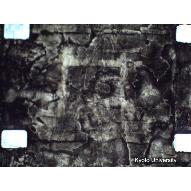 [ 1-1] 矢代日吉神社田楽（第一回）. [静止画像群4, 219～570枚目.] (219)