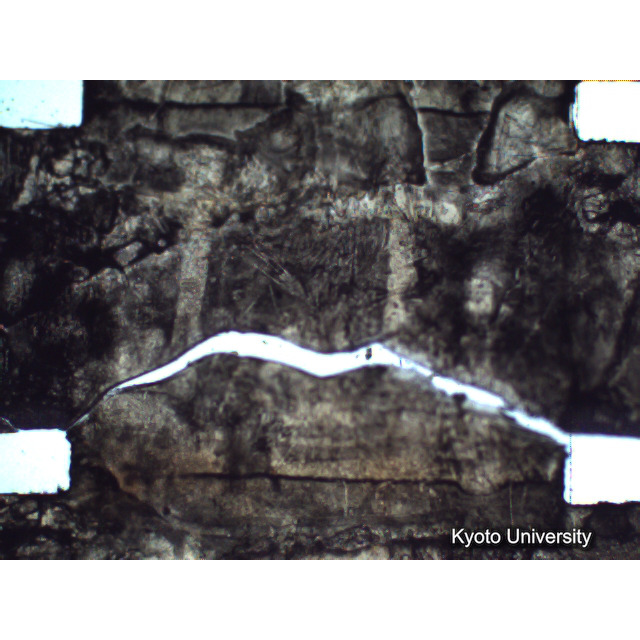 [ 1-1] 矢代日吉神社田楽（第一回）. [静止画像群4, 219～570枚目.] (220)