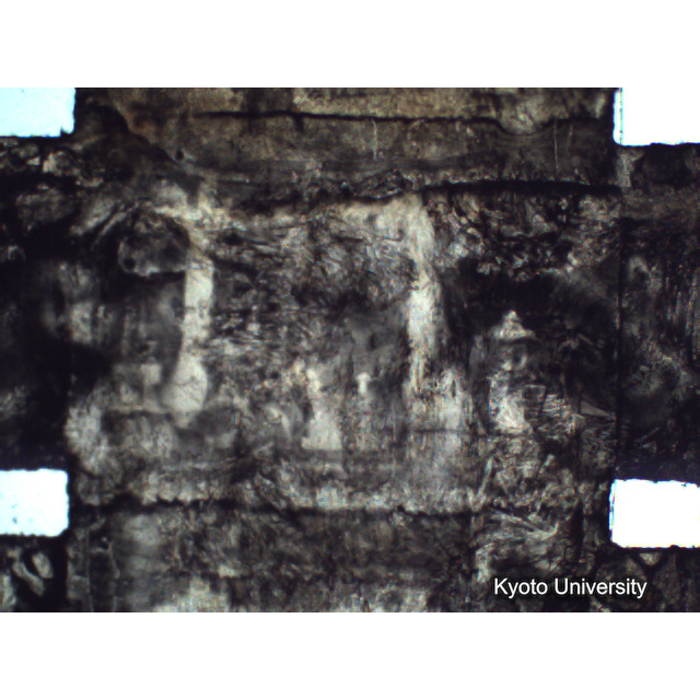 [ 1-1] 矢代日吉神社田楽（第一回）. [静止画像群4, 219～570枚目.] (221)