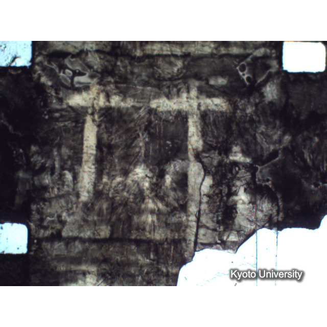 [ 1-1] 矢代日吉神社田楽（第一回）. [静止画像群4, 219～570枚目.] (224)