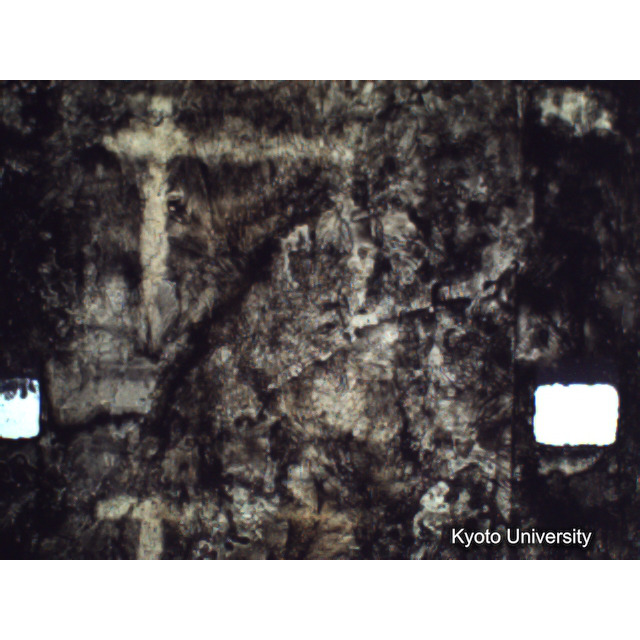 [ 1-1] 矢代日吉神社田楽（第一回）. [静止画像群4, 219～570枚目.] (227)