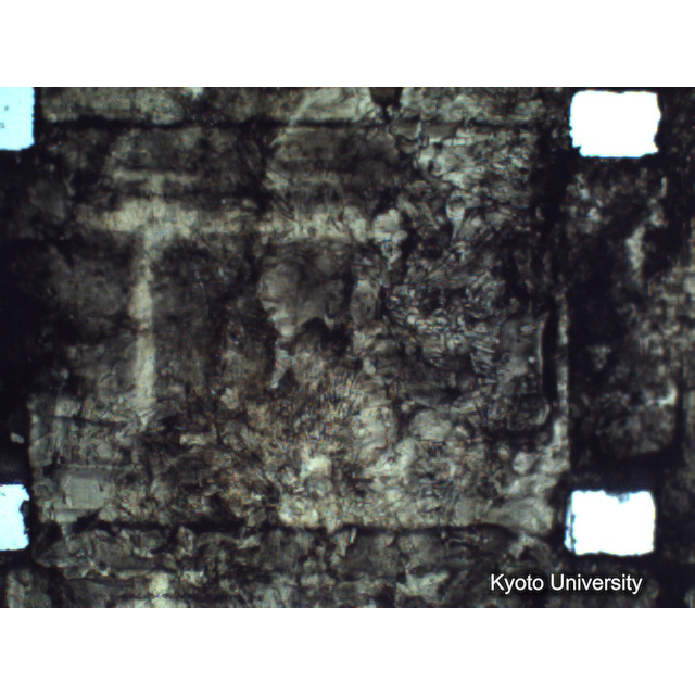 [ 1-1] 矢代日吉神社田楽（第一回）. [静止画像群4, 219～570枚目.] (231)