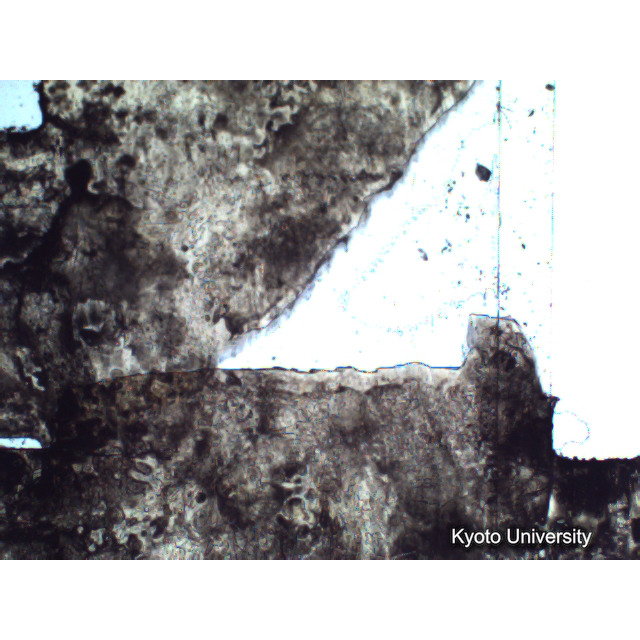 [ 1-1] 矢代日吉神社田楽（第一回）. [静止画像群4, 219～570枚目.] (235)