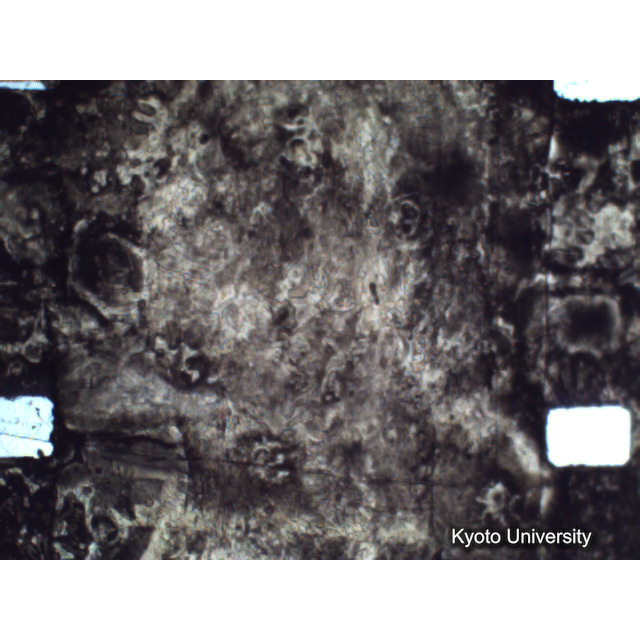 [ 1-1] 矢代日吉神社田楽（第一回）. [静止画像群4, 219～570枚目.] (236)