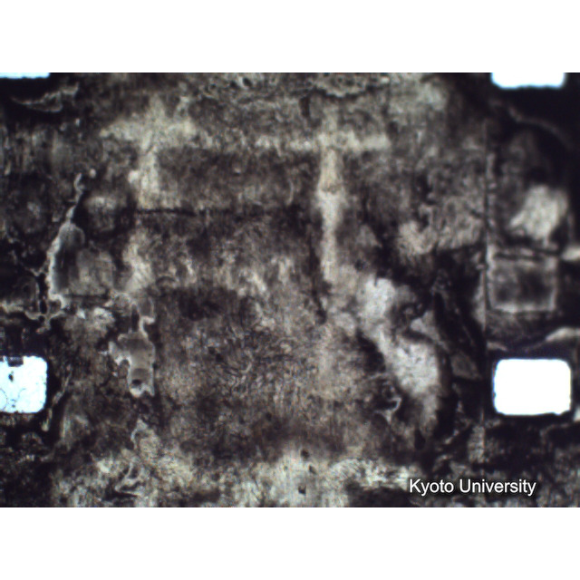 [ 1-1] 矢代日吉神社田楽（第一回）. [静止画像群4, 219～570枚目.] (238)