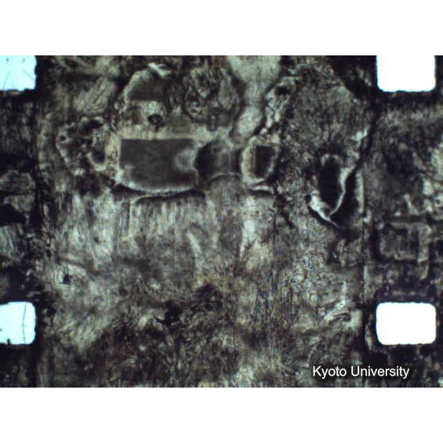 [ 1-1] 矢代日吉神社田楽（第一回）. [静止画像群4, 219～570枚目.] (242)