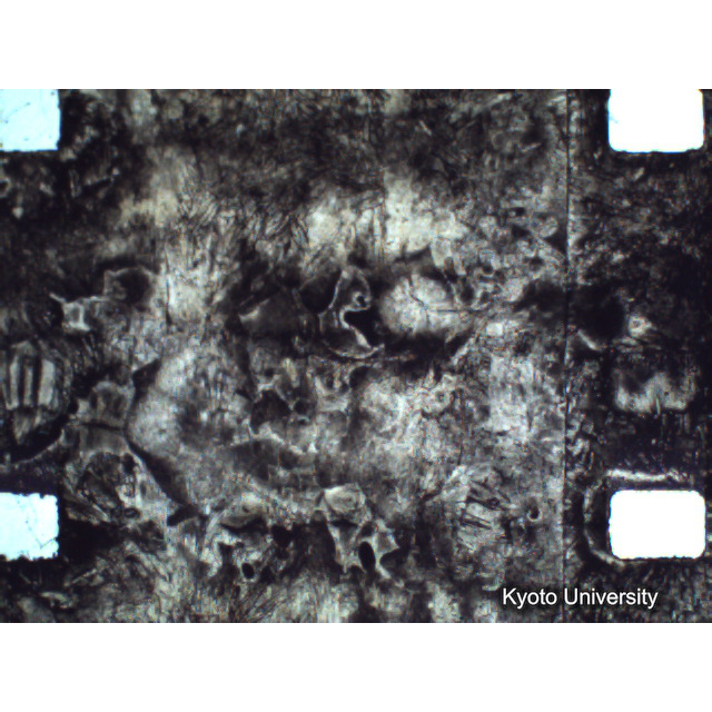 [ 1-1] 矢代日吉神社田楽（第一回）. [静止画像群4, 219～570枚目.] (251)