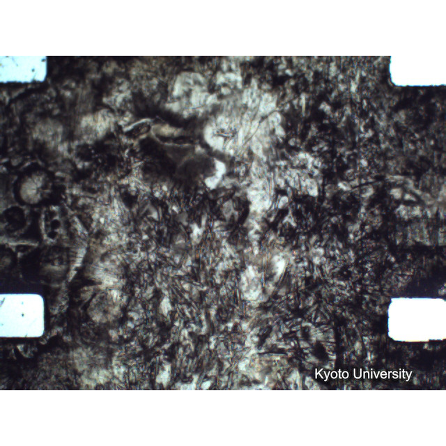 [ 1-1] 矢代日吉神社田楽（第一回）. [静止画像群4, 219～570枚目.] (254)