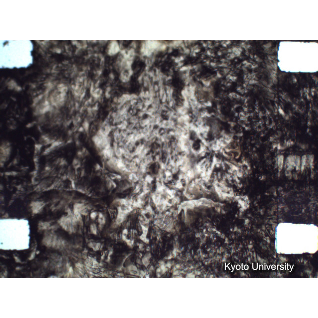 [ 1-1] 矢代日吉神社田楽（第一回）. [静止画像群4, 219～570枚目.] (260)