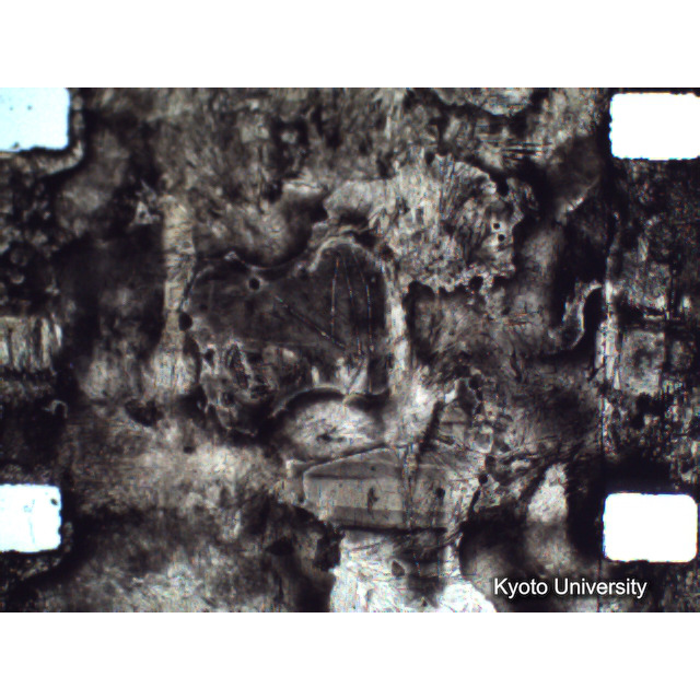 [ 1-1] 矢代日吉神社田楽（第一回）. [静止画像群4, 219～570枚目.] (263)